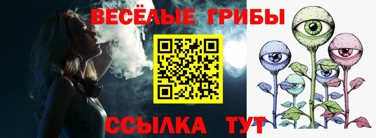 Тобольск  Галлюциногенные грибы Psilocybe  Псилоцибиновые грибы ЛСД  Вход с VPN 